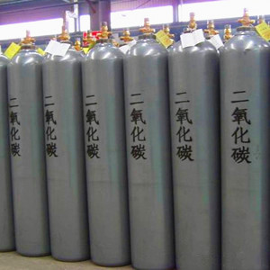二氧化碳的性質(zhì)及安全防護(hù)